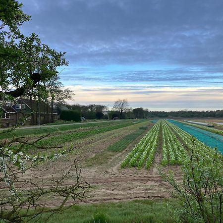 Lowlander Bnb Heemskerk Kültér fotó