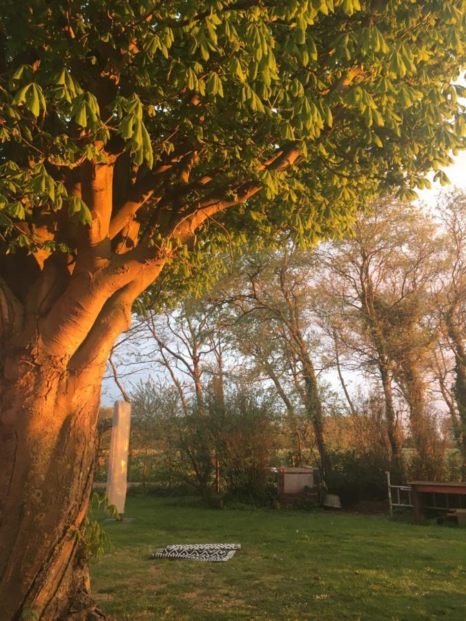 Lowlander Bnb Heemskerk Kültér fotó