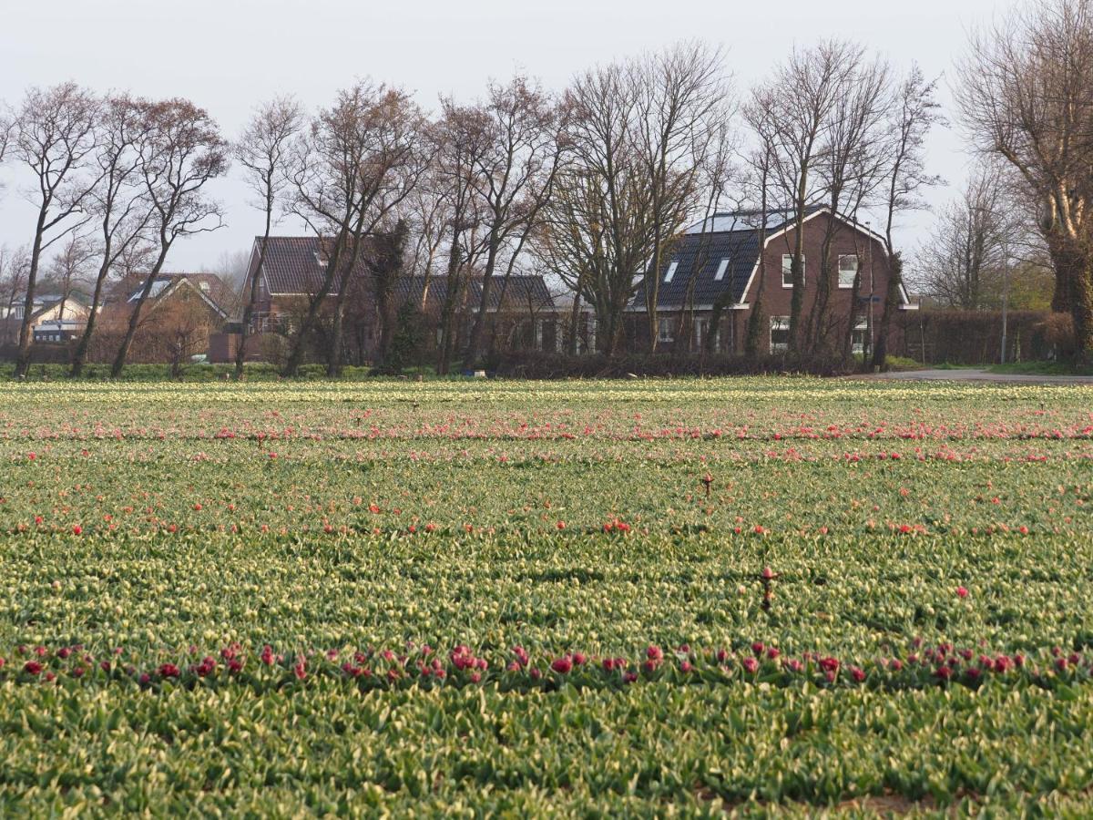 Lowlander Bnb Heemskerk Kültér fotó